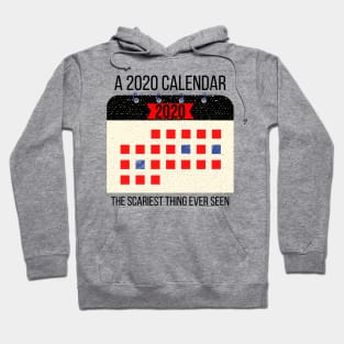 A 2020 Calendar is the Scariest Thing Ever Seen Hoodie